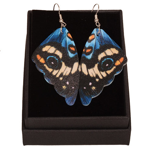 Butterfly wing earrings on a white background