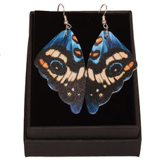 Butterfly wing earrings on a white background