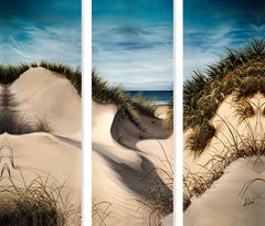 Canvas 3 Panel Print  Titled Sand Dunes