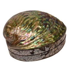Paua Shell Jewellery Box